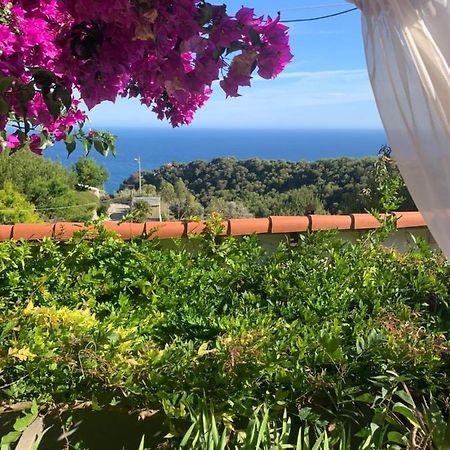 Villa D'Arte Mortola Superiore Bagian luar foto