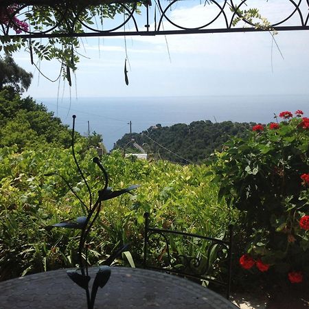 Villa D'Arte Mortola Superiore Ruang foto