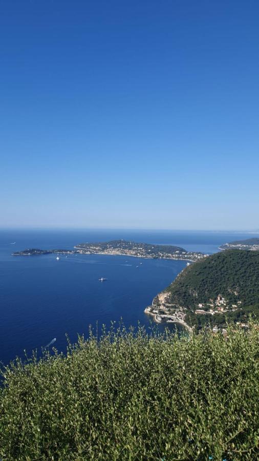 Villa D'Arte Mortola Superiore Bagian luar foto