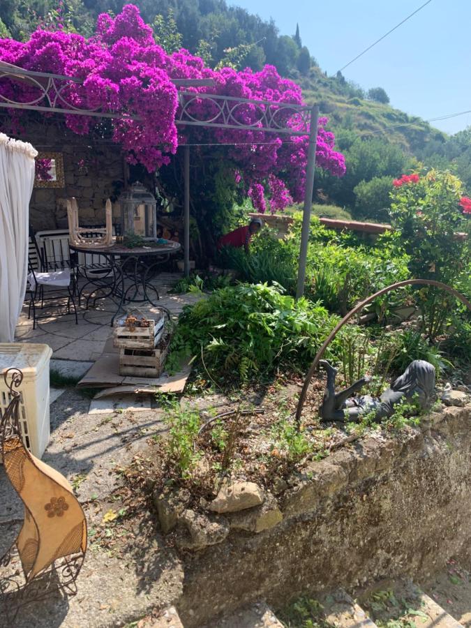 Villa D'Arte Mortola Superiore Bagian luar foto