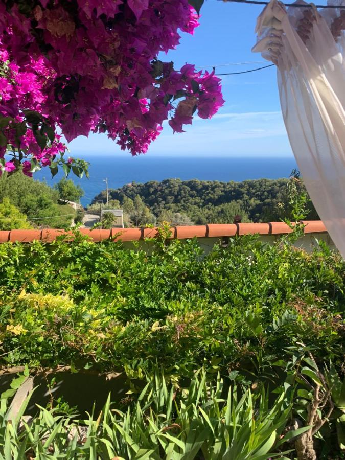 Villa D'Arte Mortola Superiore Bagian luar foto