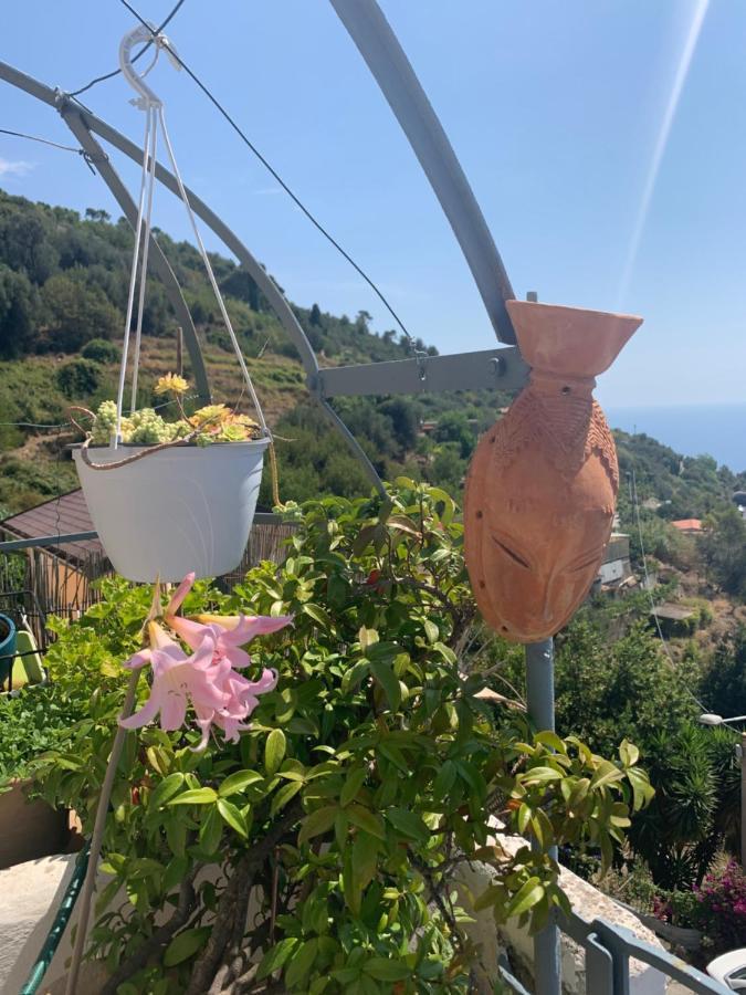 Villa D'Arte Mortola Superiore Bagian luar foto