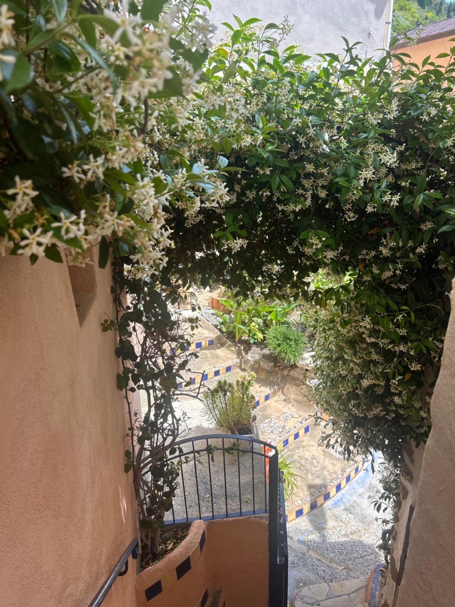 Villa D'Arte Mortola Superiore Bagian luar foto
