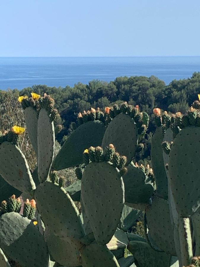Villa D'Arte Mortola Superiore Bagian luar foto